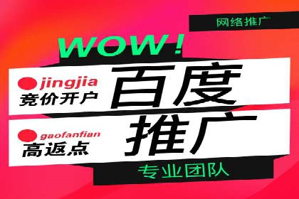 某电商平台的SEM推广策略——代运营公司的实践